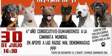 Perros potencialmente peligrosos\u002E