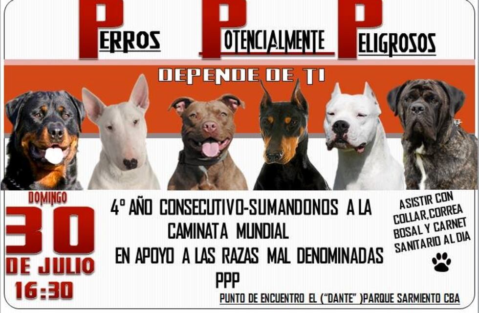Marchan en defensa de las razas de perros consideradas "peligrosas"