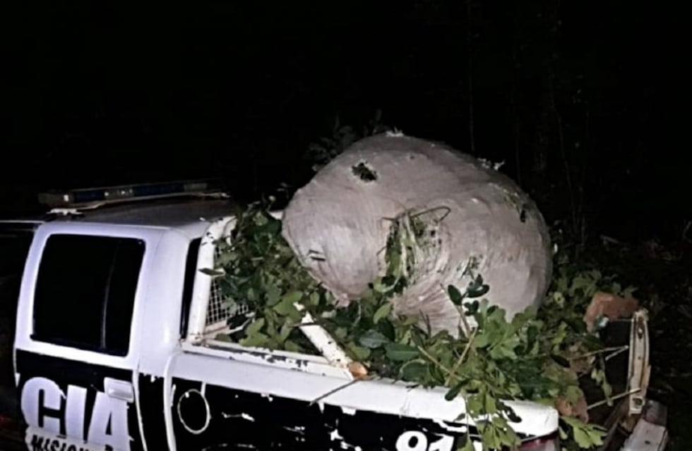 Robaron Yerba Mate de un Parque Provincial en San Pedro