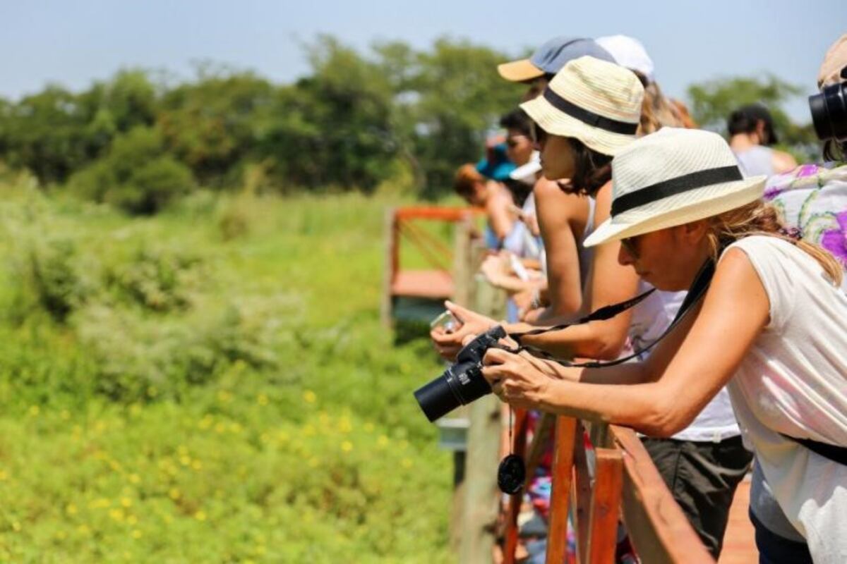 Visitas guiadas gratuitas al Legado Deliot