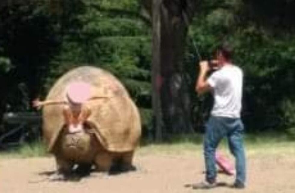 No cuidamos nada: dañaron las esculturas del Parque Mega Fauna de Pehuen Co