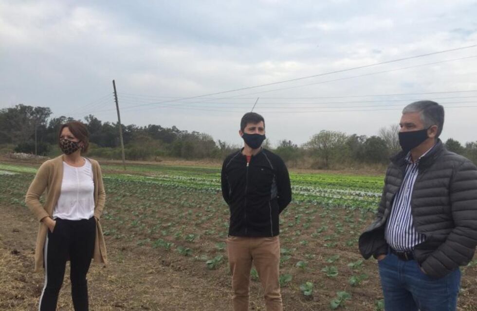 Brenda Vimo tras el fallo sobre agroquímicos: "la justicia no necesita más pruebas"
