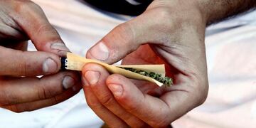 Marihuana (Archivo)\u002E