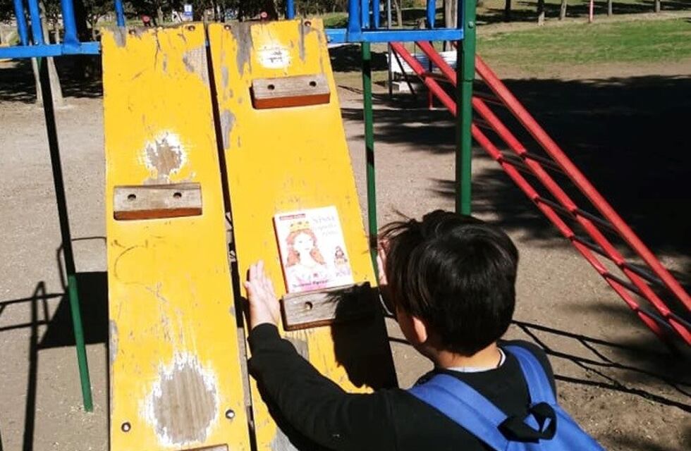 Punta Alta siembra libros