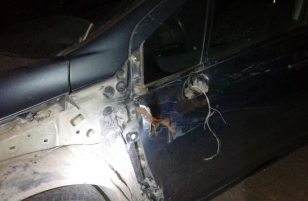 Camión y auto impactaron contra un caballo en el sur provincial