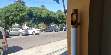 Colilleros en Punta Alta