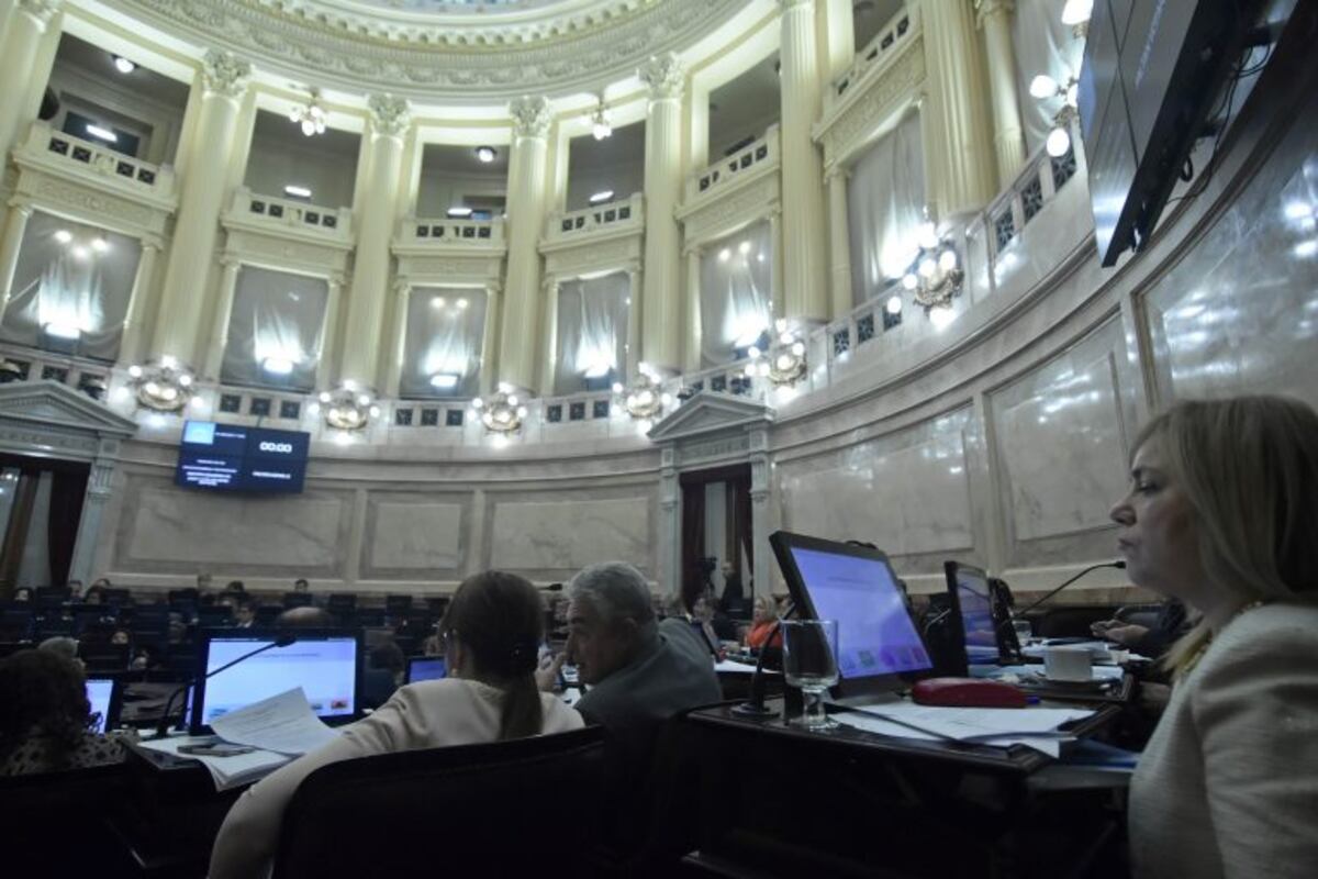 DYN45, BUENOS AIRES 31/06/17, SESION EN EL SENADO NACIONAL .FOTO.DYN/EZEQUIEL PONTORIERO