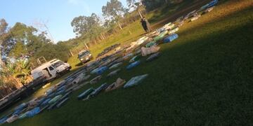 Cinco toneladas de marihuana descubiertas en un camión brasileño\u002E (MisionesOnline)