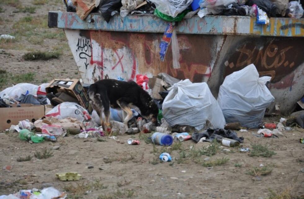 Río Gallegos: Municipio decretó la Emergencia Sanitaria