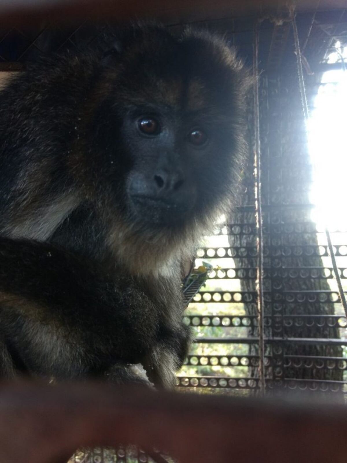 La Brigada de Explosivos se llevu00f3 los cartuchos de gelamu00f3n.