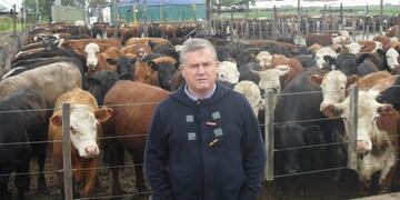 Luis Undargarin\u002E (web)