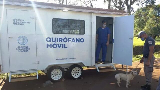 Se llevó a cabo la castración de mascotas en la Unidad Penal II de Oberá