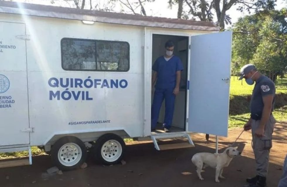 Se llevó a cabo la castración de mascotas en la Unidad Penal II de Oberá