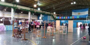 Feria Social Tolhuin