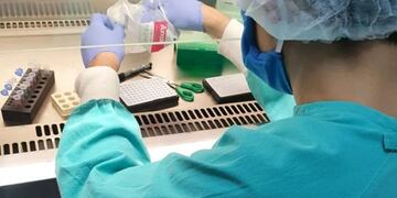 Coronavirus: Santa Cruz entre las provincias cuyos pacientes recuperados donarían plasma