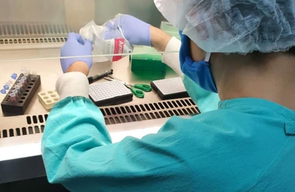 Coronavirus: Santa Cruz entre las provincias cuyos pacientes recuperados donarían plasma