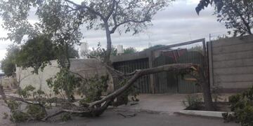 Así amaneció San Juan tras el fuerte viento\u002E