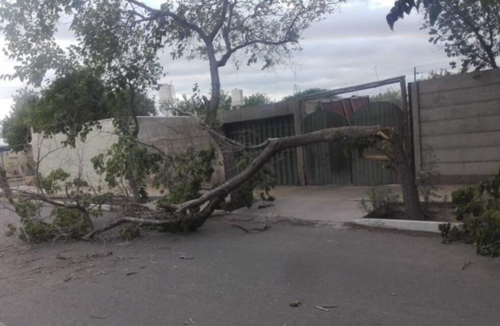 San Juan: tras el fuerte viento, todavía quedan 1.000 usuarios sin energía