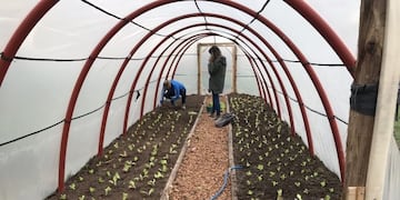 Destinan fondos para mejorar la producción de familias rurales en Río Negro