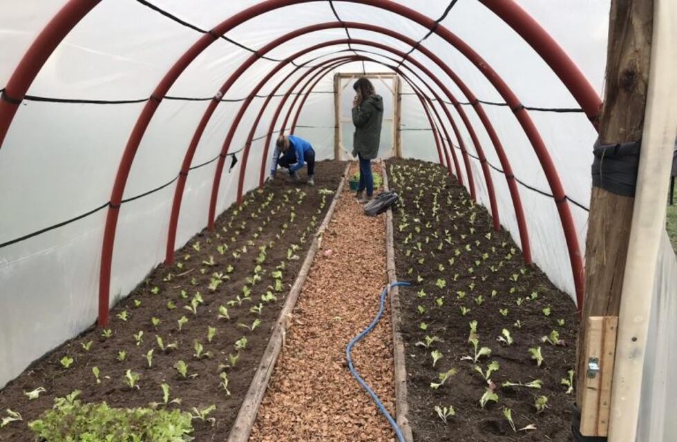 Destinan fondos para mejorar la producción de familias rurales en Río Negro