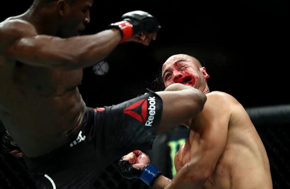 Un escalofriante nocaut en UFC: lo dejó inconsciente con una brutal patada al rostro