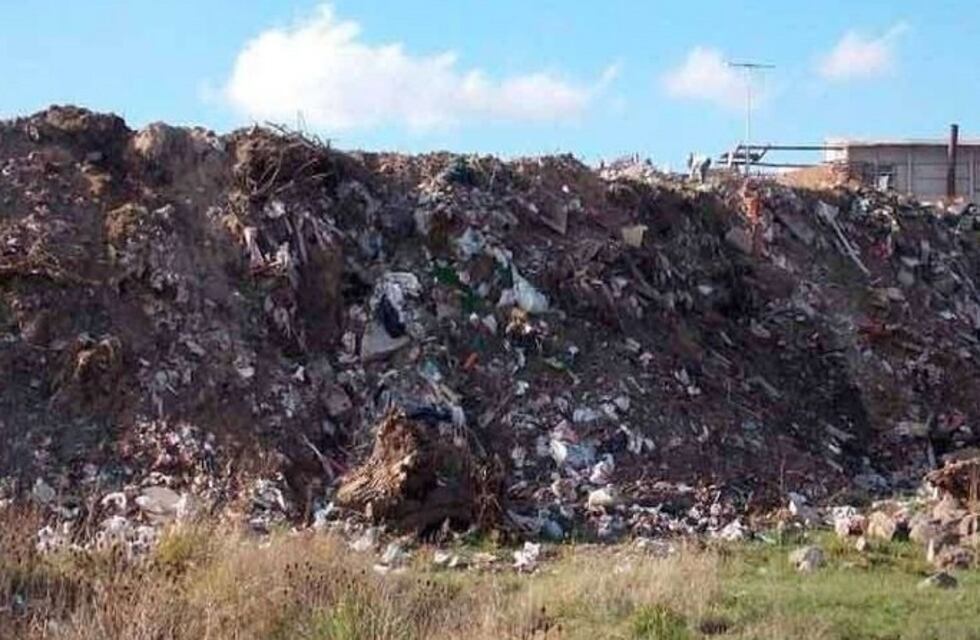 El terrible relato del hombre que halló el cuerpo de una beba en un basural de Tandil