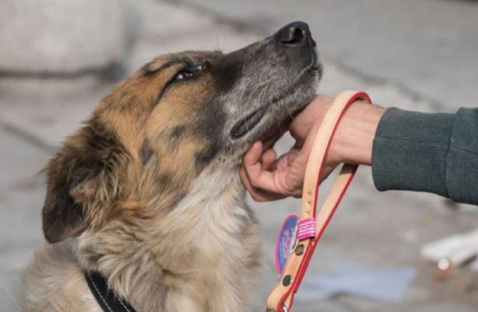 Llega "Un Día Perfecto" a Villa Camiares