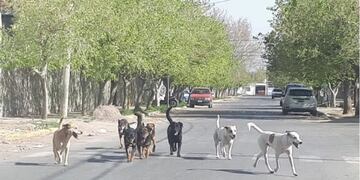 Imagen ilustrativa\u002E