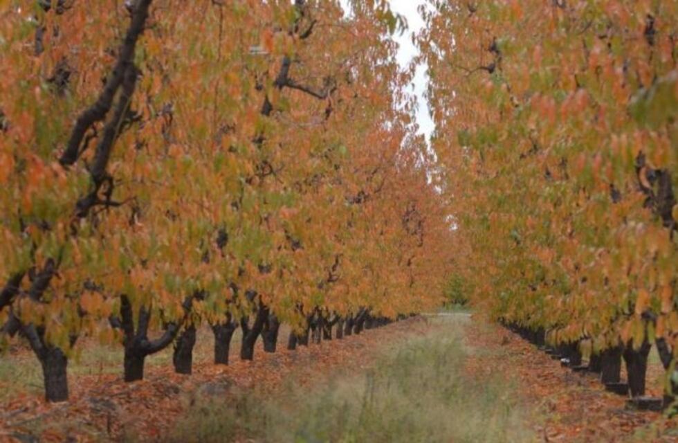 Este jueves sería el último día frío de la semana