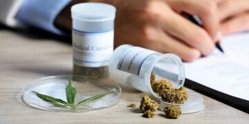 La fecha estipulada para que comience la producción de aceite de cannabis medicinal en San Juan es septiembre de 2021.