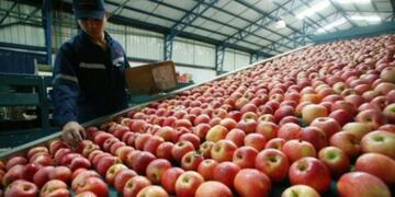 Desde Mendoza están realizando gestiones para revertir la suspensión de la exportación de peras y manzanas dispuesta por Brasil\u002E