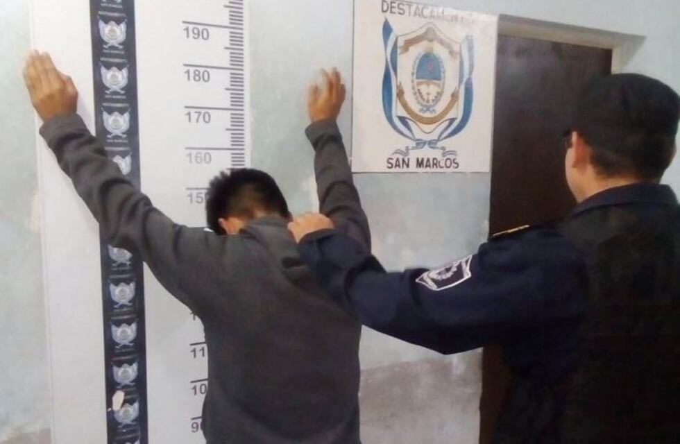 Golpeó a una mujer para robarle el celular