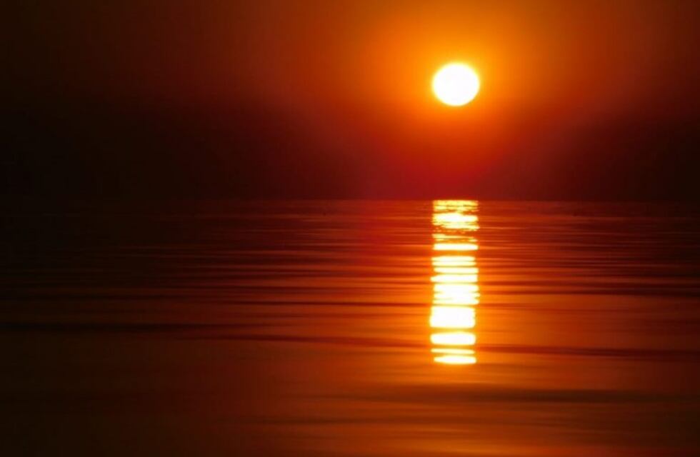 Hallaron un cráneo en el Bajo de Ansenuza