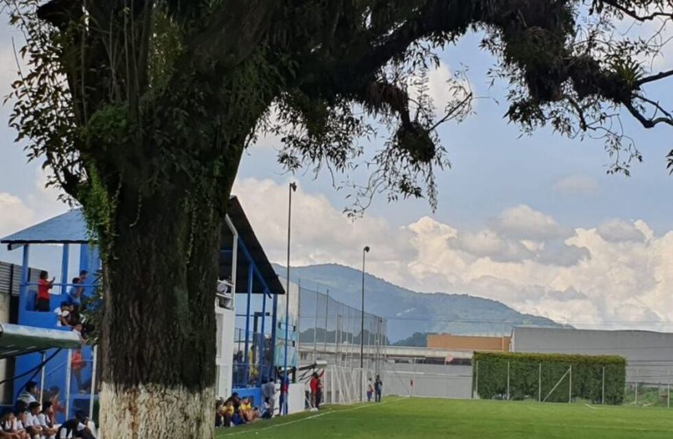 El insólito caso de una cancha de fútbol que tiene un árbol en pleno campo de juego