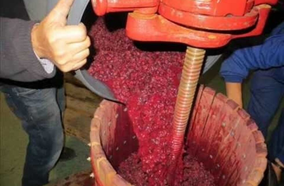 Murió un operario en una bodega de Lavalle