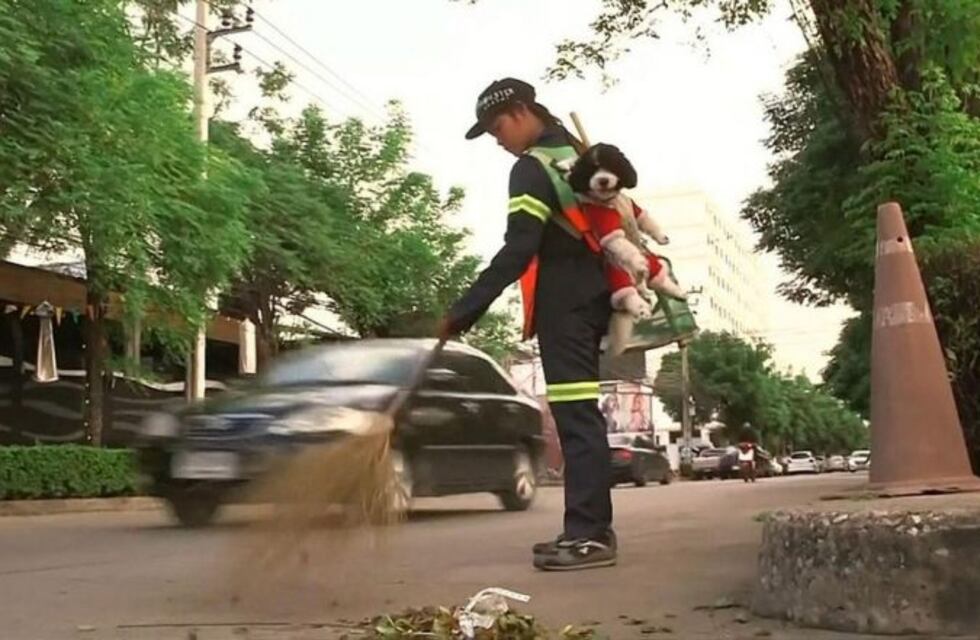 Difunden fotos de una mujer que limpia las calles a diario llevando a su perro en la espalda