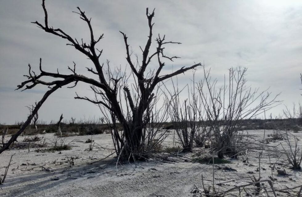 Martes ventoso en la región de Ansenuza