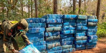 La droga fue encontrada en un monte cercano a una plantación de yerba\u002E