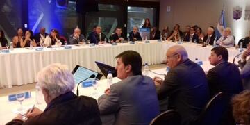 Reunión del Cofesa en Córdoba, donde Alarcón presentó un informe sobre el dengue en Misiones\u002E (Twitter)