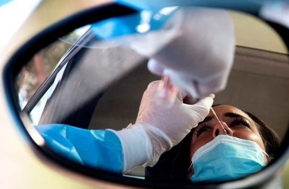 Coronavirus en Río Negro: 228 nuevos casos y cuatro fallecidos