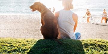 En los atractivos turísticos tampoco se  permite el ingreso con mascotas\u002E