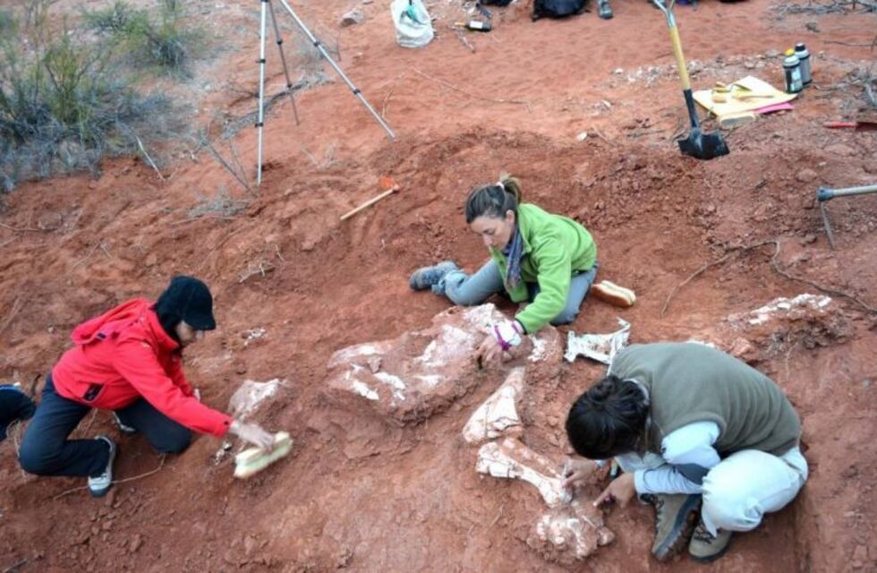 Hallaron en San Juan el primer dinosaurio gigante que habitó la Tierra