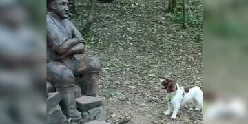 Confundió a su dueño fallecido con una estatua y su reacción conmovió a todos en internet