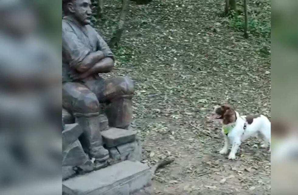 Confundió a su dueño fallecido con una estatua y su reacción conmovió a todos en internet
