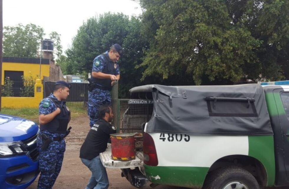 Secuestran aves en una carnicería de barrio Guiñazú