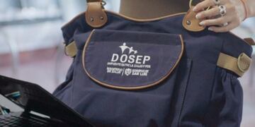 Plan Materno de Dosep\u002E