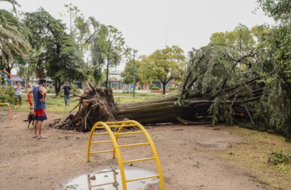 Asisten a las zonas afectadas por la tormenta en San Luis