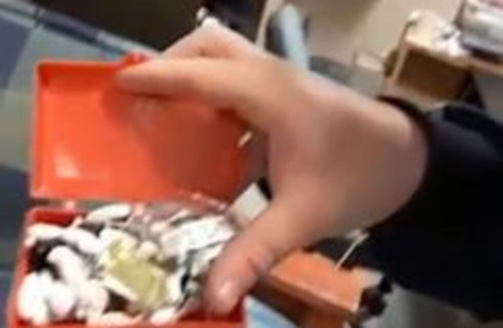 Hallan paco, marihuana y cocaína oculta en la Delegación de Drogas Ilícitas de Avellaneda-Lanús