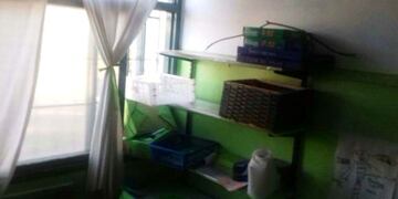 Ingresaron por la ventana pero sin ejercer violencia\u002E (El Informante)