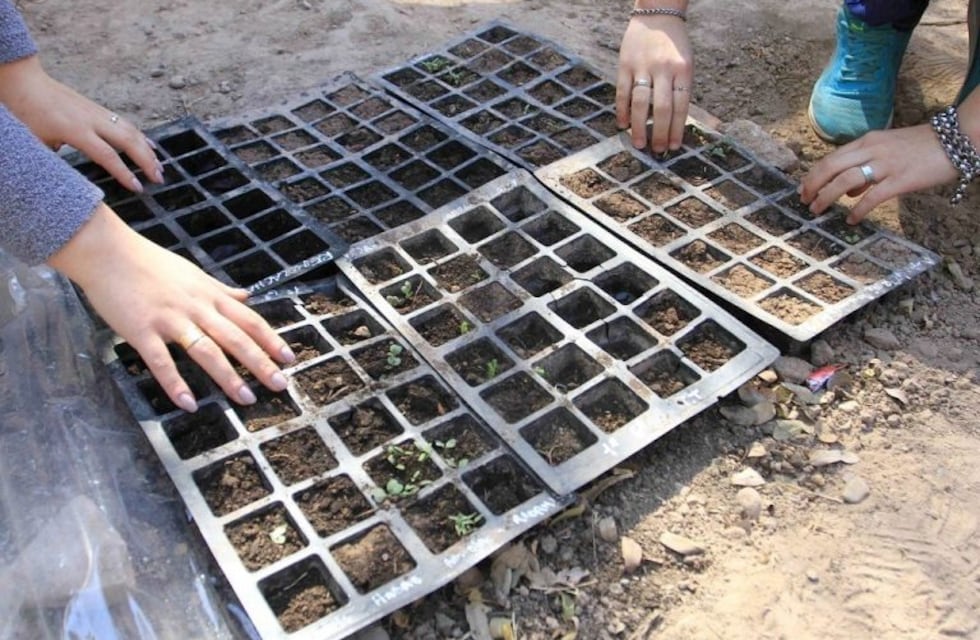 Crean una huerta orgánica en Mendoza para ayudar a un comedor